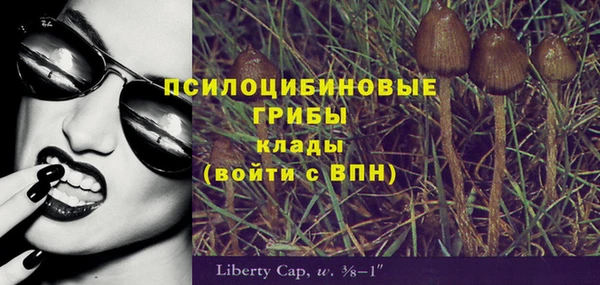 apvp Вязники